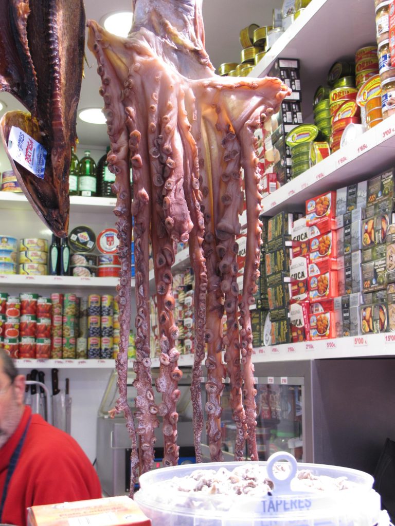 Octopus in Mercado Central IMG 2270 octopus in mercado central 768x1024 Spain, Valencia inland to Teurel: Lessons Learned and Food Enjoyed Day 3