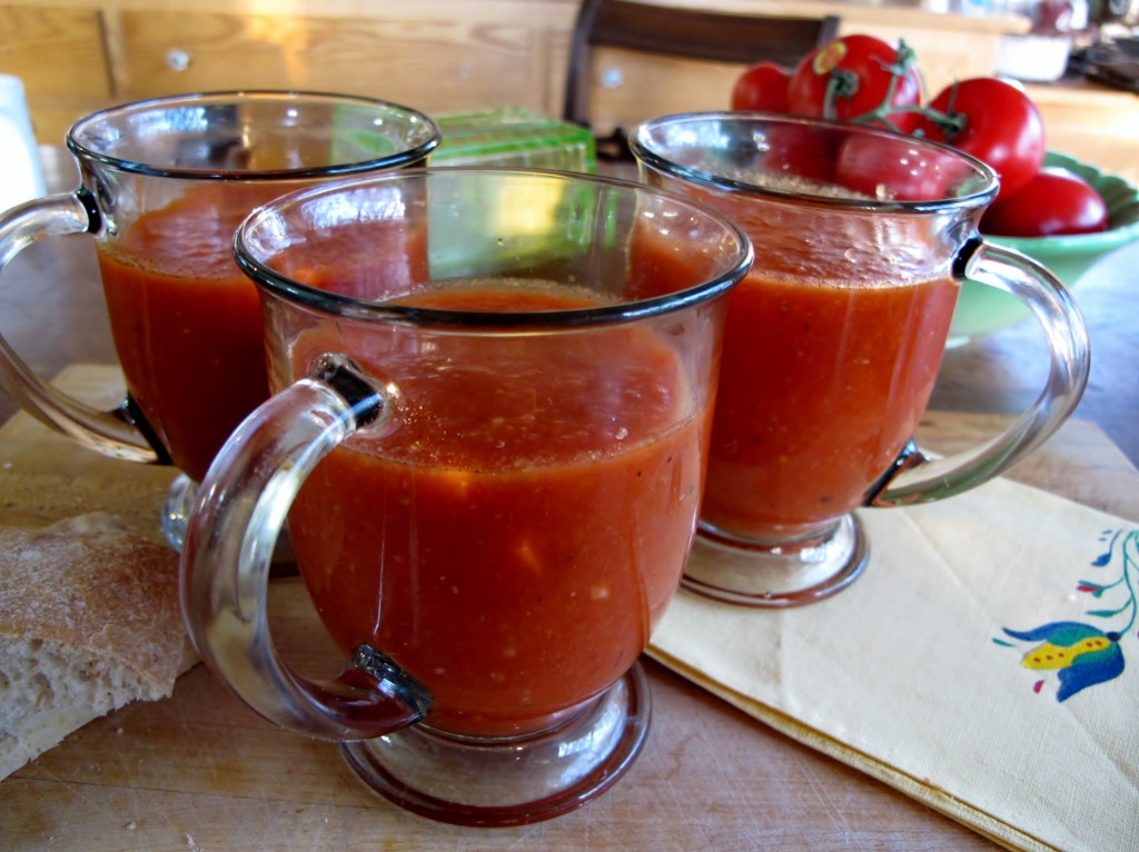 Senora's Andalusian Gazpacho gazpacho best A 1024x766 Andalusian Gazpacho & Breakfast Tomato Bread: Reconstructed from Spain travels