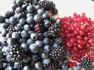 Berries waiting for English Summer Pudding Recipe summer pudding A 300x225 English Summer Pudding: A Brittish Recipe for Enjoying the 2012 Olympics